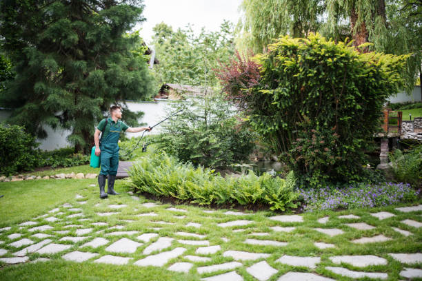 Best Wasp Removal Services  in Granville South, OH