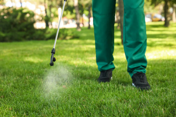 Best Insect Control  in Granville South, OH