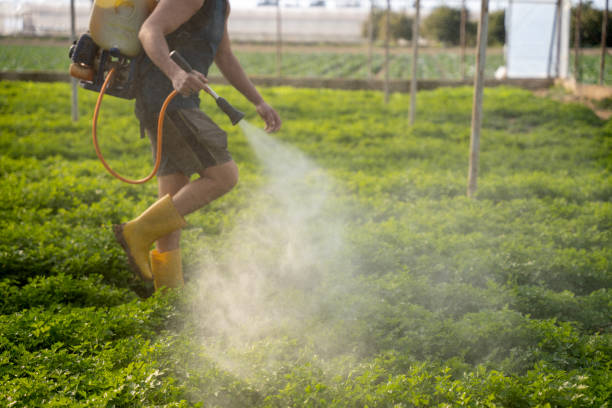 Best Pest Control for Businesses  in Granville South, OH